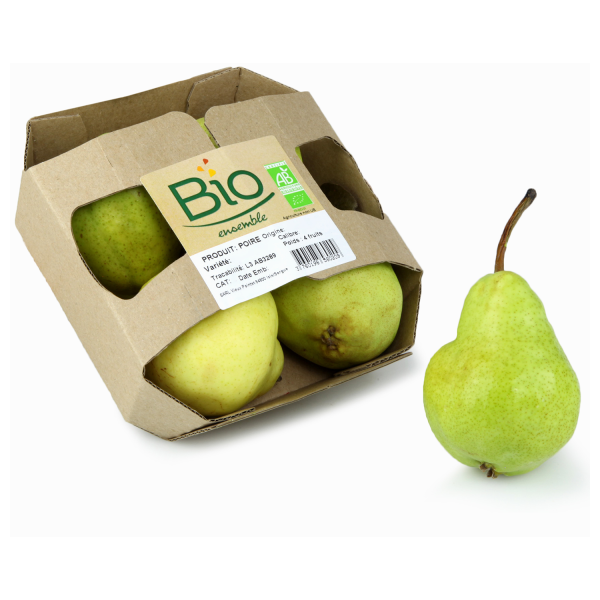 Pomme juliette Bio Bio Ensemble Barquette 4 fruits sur