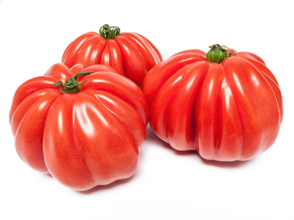 Tomate côtelée : toutes les infos utiles !